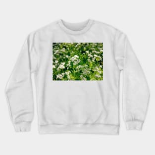 Tender woodruff flower Crewneck Sweatshirt